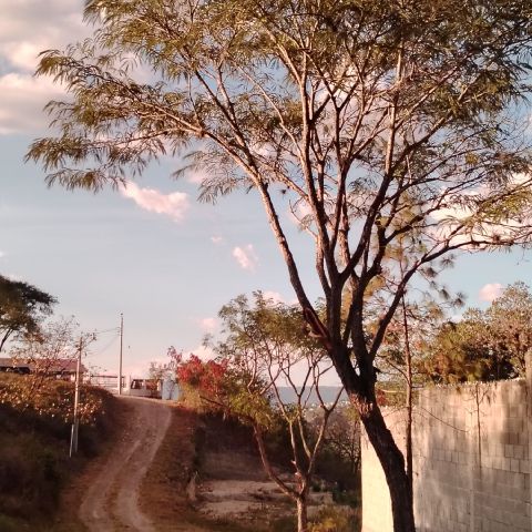 Hapuc27