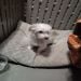glittabunny is Single in Anchorage, Alaska, 5