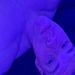 Andy767 is Single in Great Falls, Montana, 3