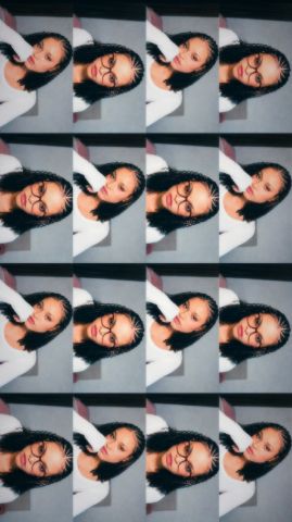 Meise