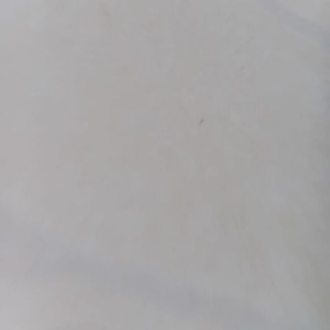 Mecdy