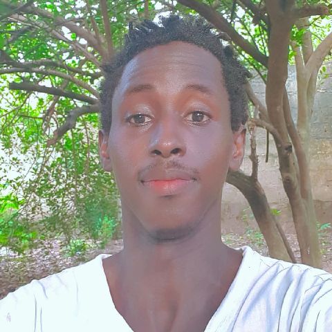 saineyjabbi