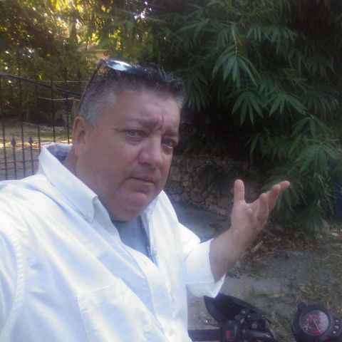 webguru06