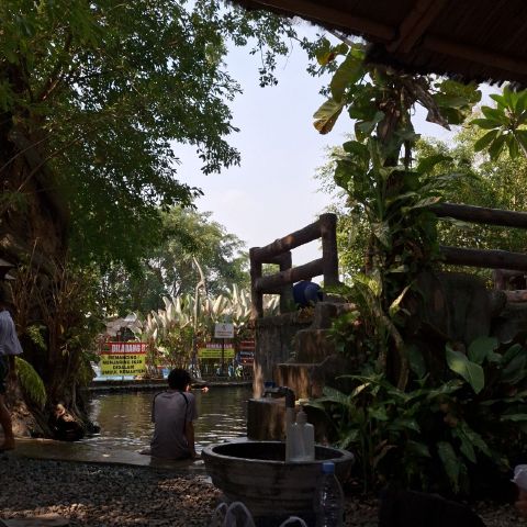 gavaci