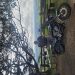 Steven92row is Single in Atherton, Queensland