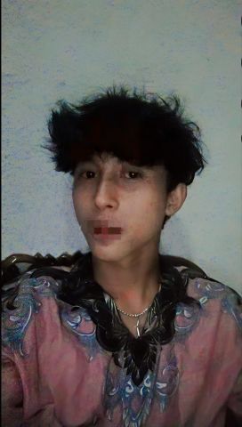 lungsz