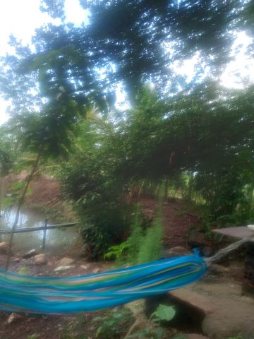 vanDat