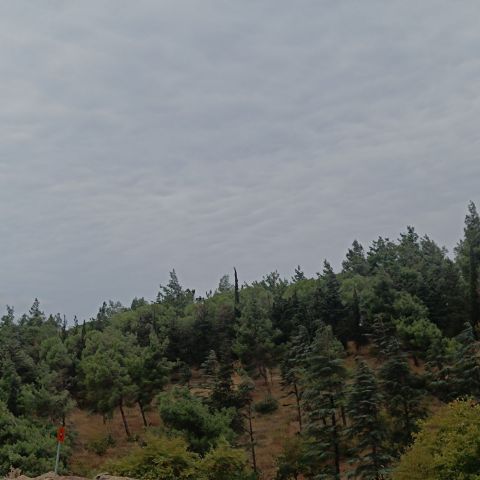 Yanaaaa