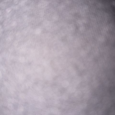WaiganjoAnn03