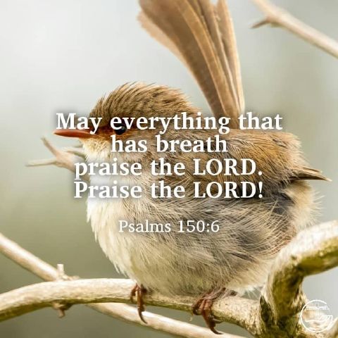 Favour2479