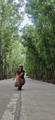 beds