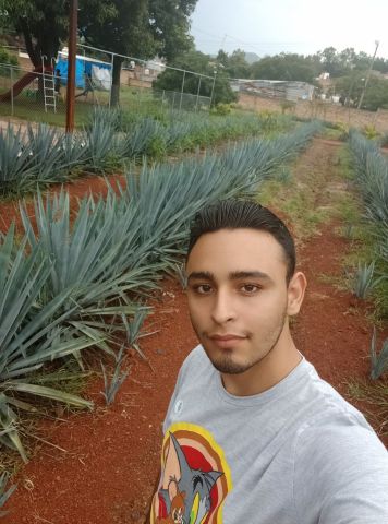 tony0886