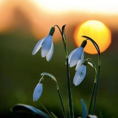 Mary_420