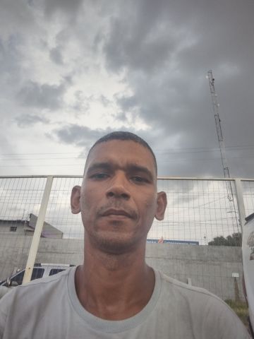 Pinheiro3