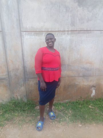 Jane259212