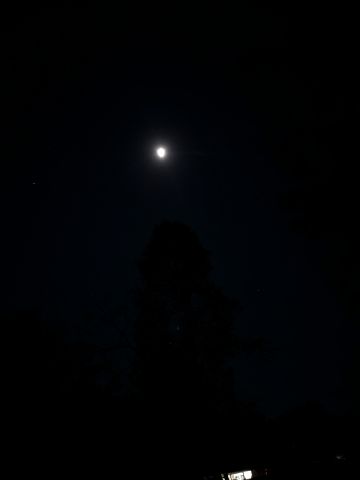 WalkHike7