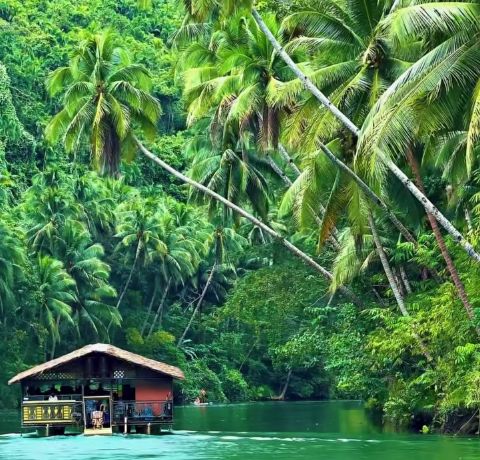 bohol2026