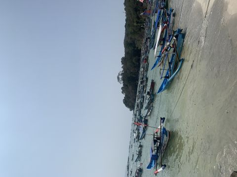 irinavelanora