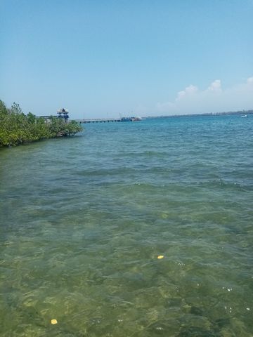 oselagat