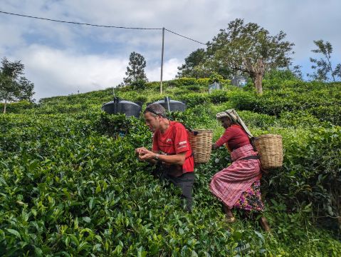 john19842 is Single in Stoke on Trent, England, 5