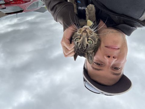 StarFox is Single in Winnipeg, Manitoba, 3