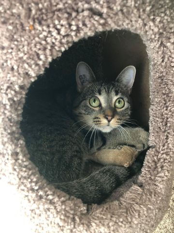 StarFox is Single in Winnipeg, Manitoba, 4