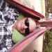 Tim783 is Single in Perth, Western Australia
