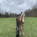 hnbv005 is Single in Somewhere, Ohio, 6